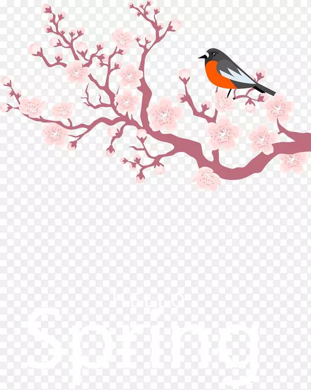 春暖花开可爱小鸟