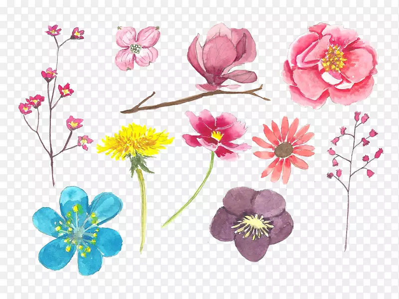 水彩画的彩色花朵花蕾