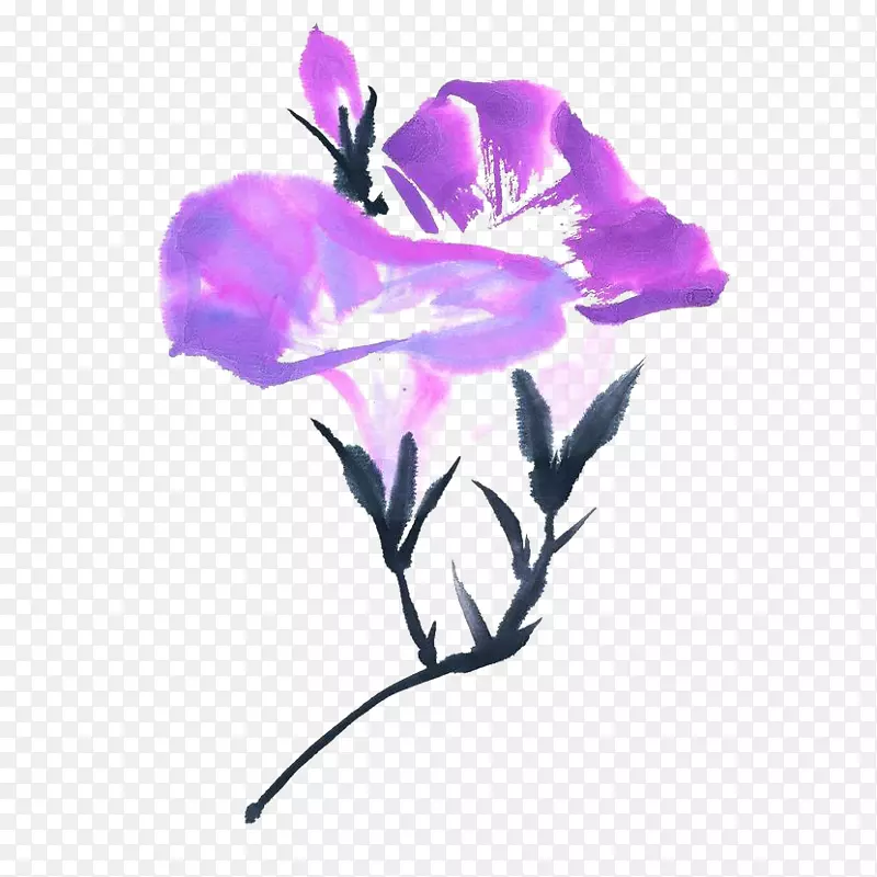 水墨紫色牵牛花