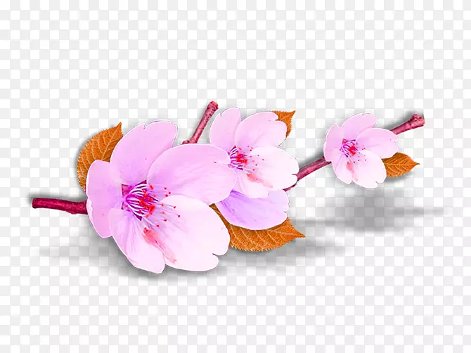 粉色桃花枝桠装饰图案