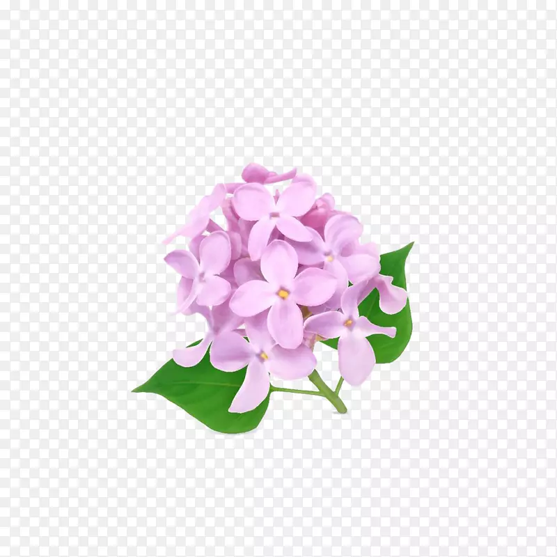 手绘一小团粉丁香插画免抠