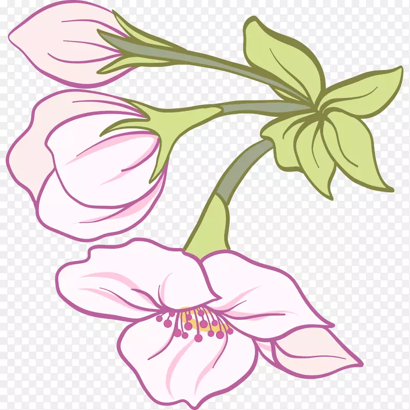 矢量手绘樱花花朵花骨朵插画