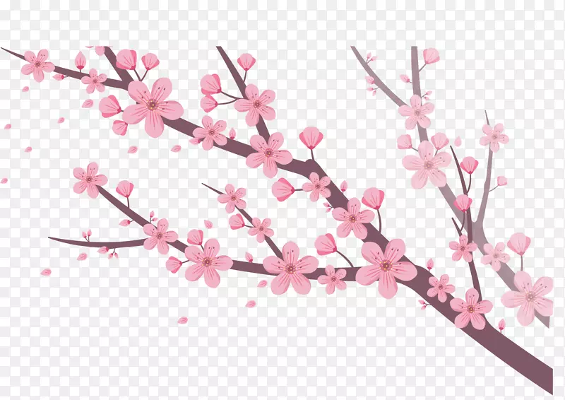 美丽春天桃花树枝
