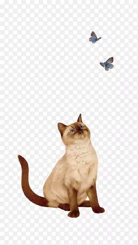 矢量猫和蝴蝶