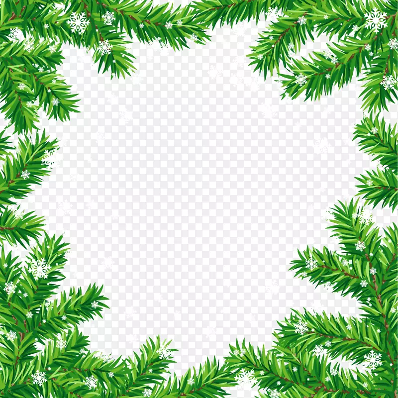 冬季绿色松叶装饰