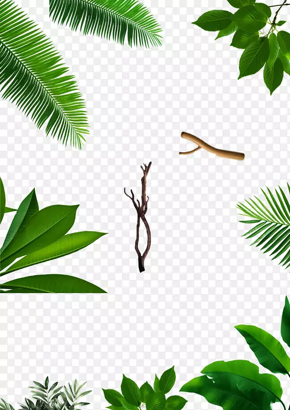 绿色植物PNG图片素材下载_图片编号yakrejby-免抠素材网