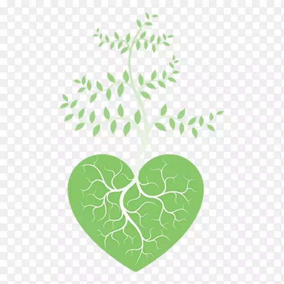 手绘绿色植物心形树根png