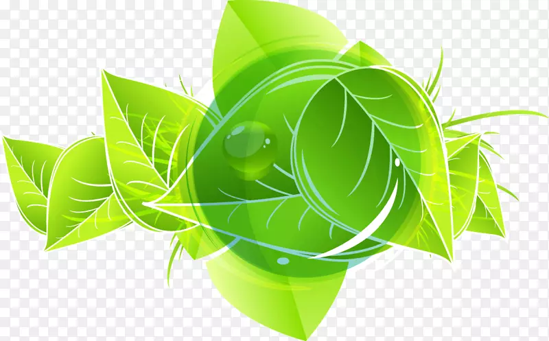 梦幻浅绿带绿色水泡树叶
