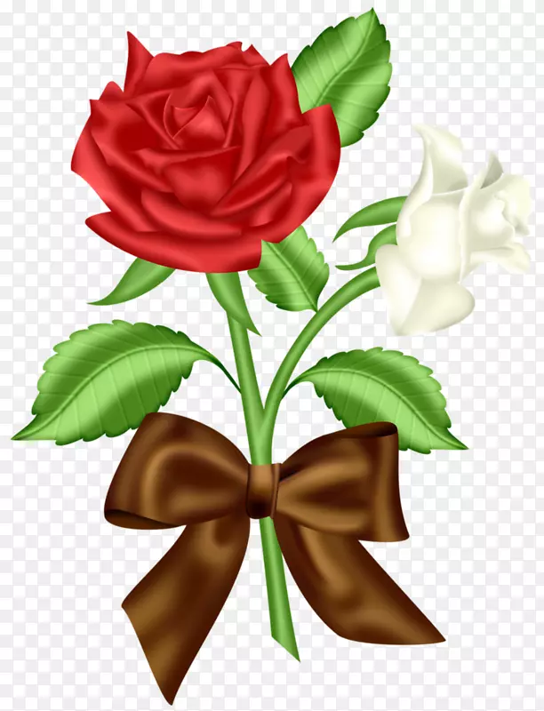一红一白的玫瑰花