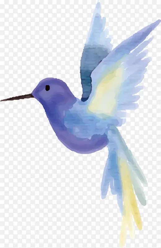 手绘蓝色水彩小鸟