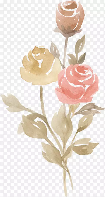 水墨棕色粉色玫瑰花