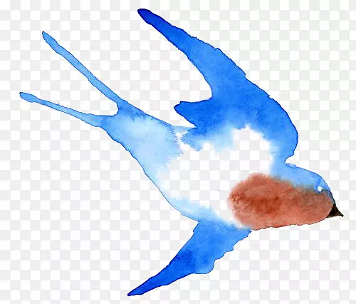 水彩燕子