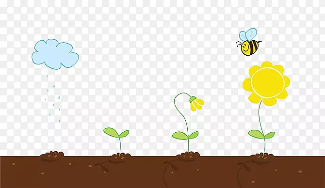 小蜜蜂与植物生长过程