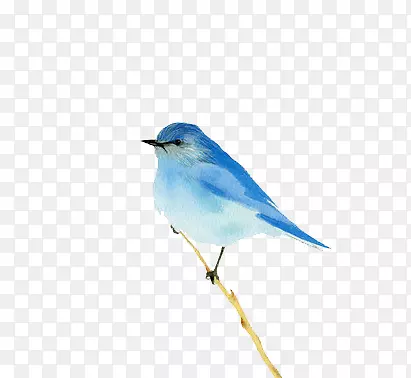 水彩艺术蓝色小鸟