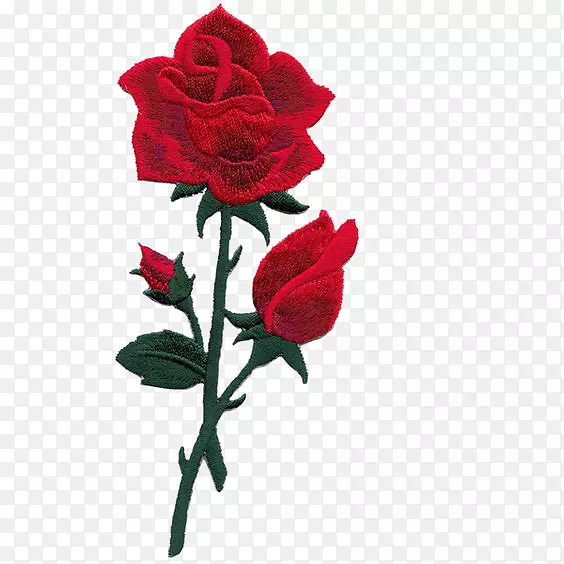 手绘红色玫瑰
