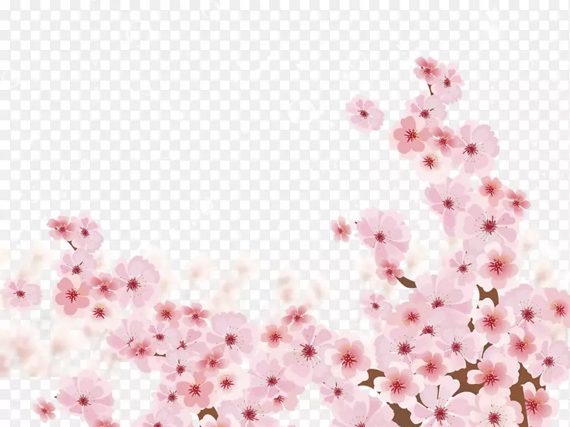 手绘粉色梅花樱花