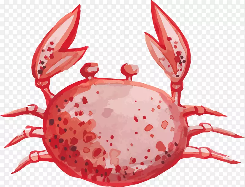 卡通可爱小动物装饰动物头像螃蟹