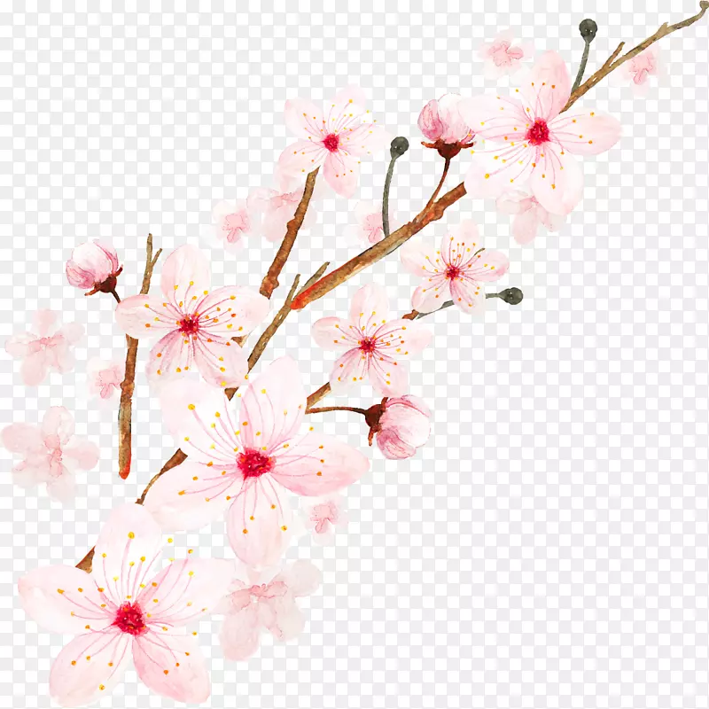 手绘粉色桃花花卉