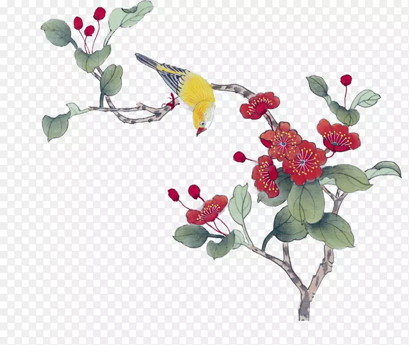 红色花朵上的黄鹂鸟