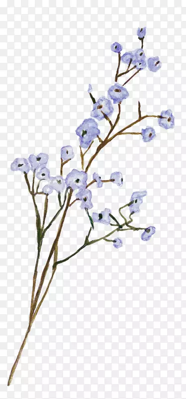 蓝色手绘树枝上的花朵