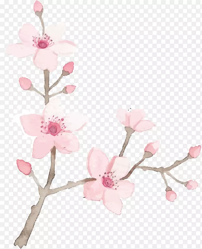 粉色水彩美丽桃花