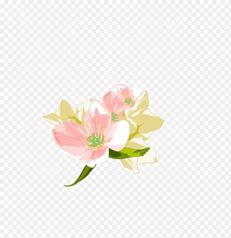 绽放的鲜花