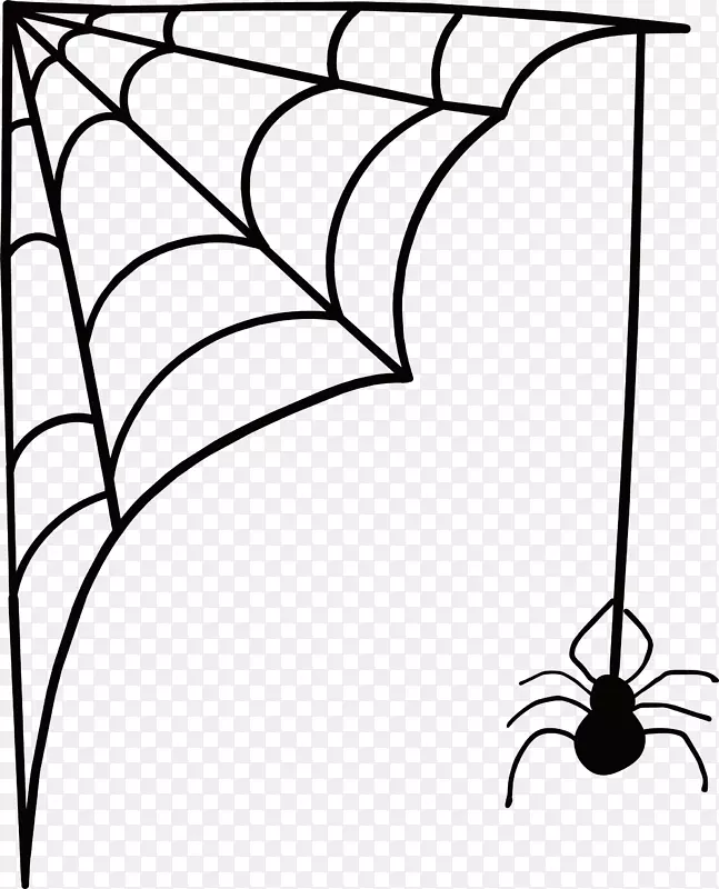 吓人的蜘蛛网