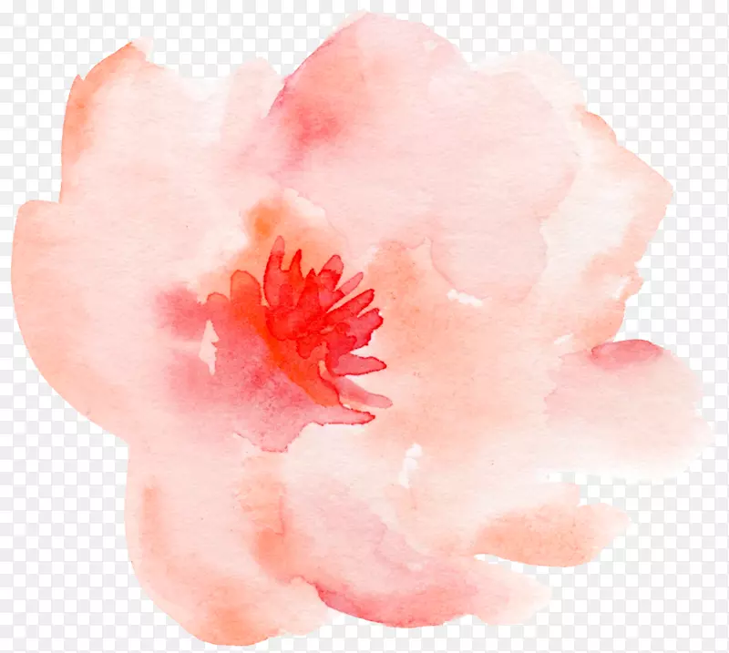 水粉玫瑰花装饰元素