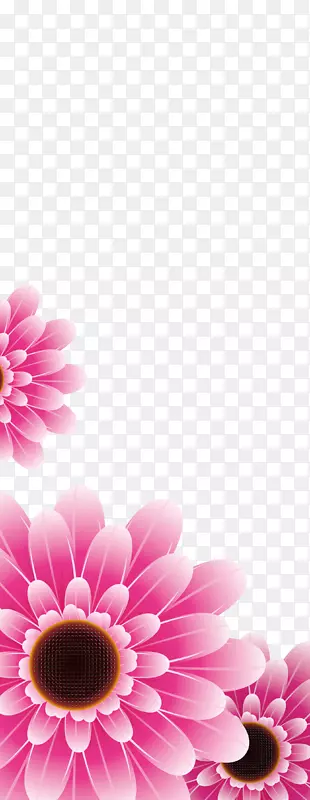 红色菊花素材