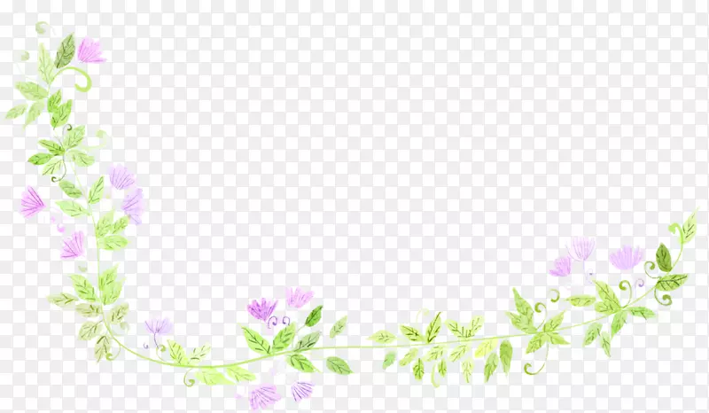 紫色小花藤蔓