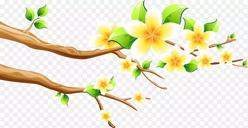 春天的鲜花树枝