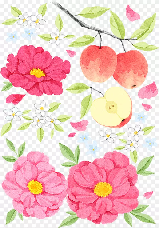 苹果和花朵