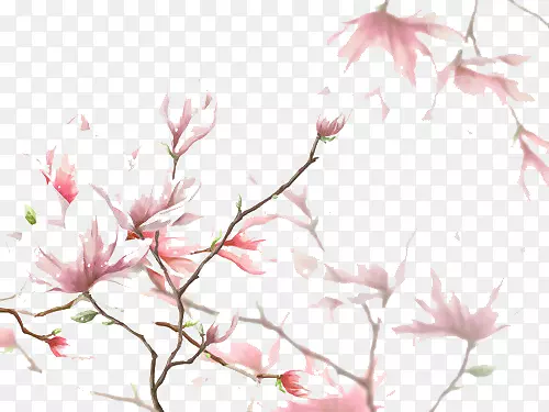 中国画梅花