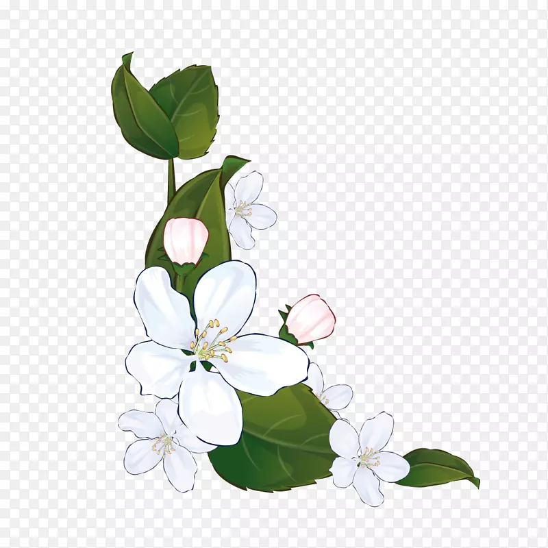 矢量花卉花朵