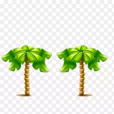 两颗椰子叶树图片素材