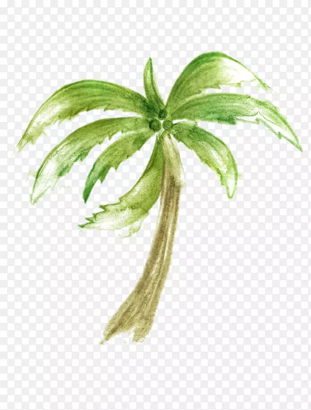 手绘椰子树图片素材