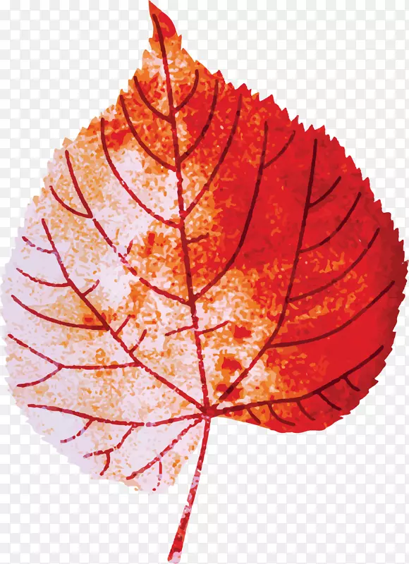 卡通水彩红色树叶装饰图案