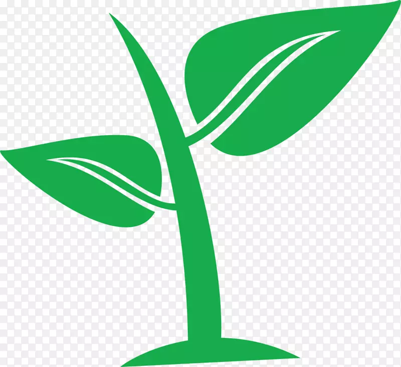 绿色扁平植物树木