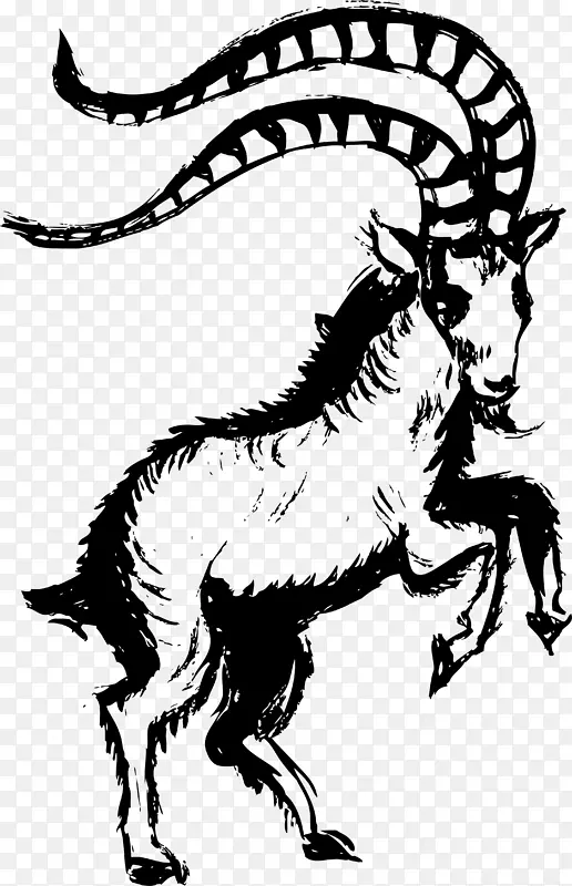 素描黑色山羊
