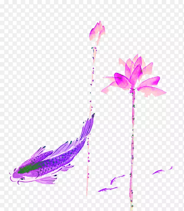 彩绘鱼和莲花