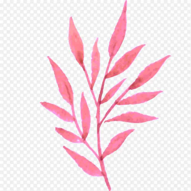 粉色水彩树叶