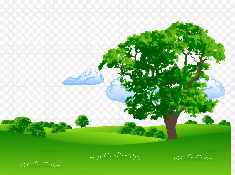 卡通手绘草地上翠绿茂盛树木风景