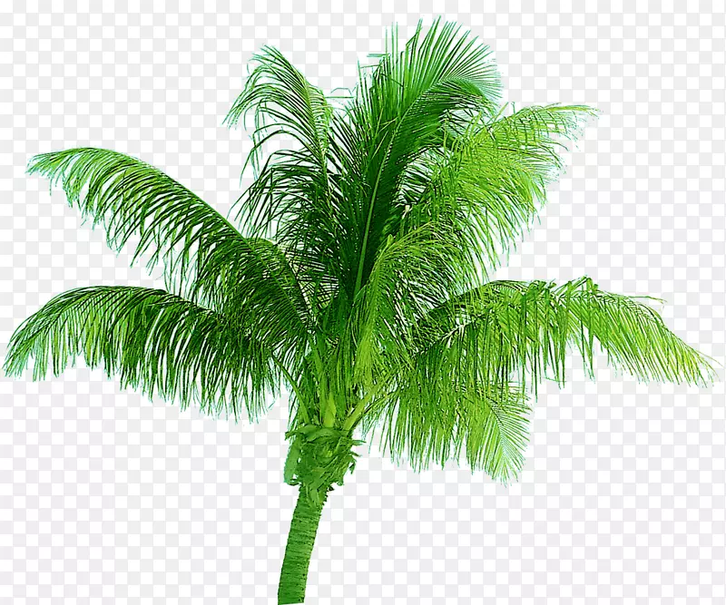 创意合成摄影度假区的椰子树