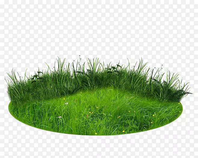 圆形茂盛绿色草地