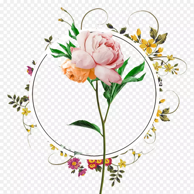 手绘玫瑰花圆形画框