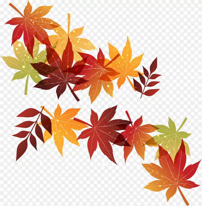 秋季凋零的树叶
