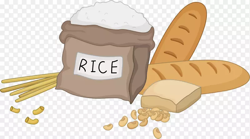矢量手绘米饭面包