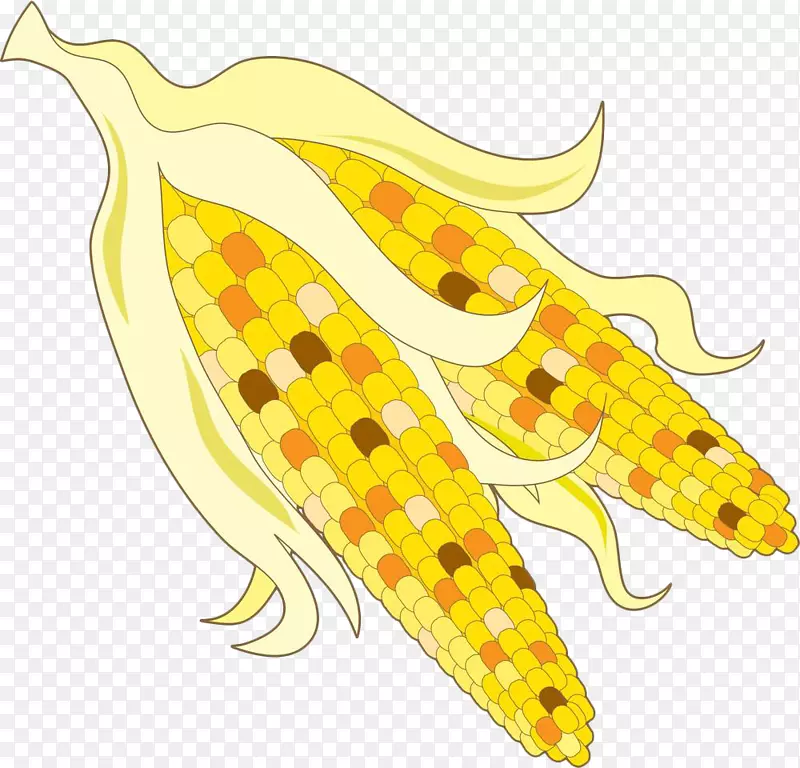 黄色玉米粒