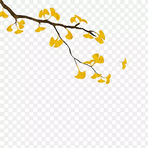 黄色枝叶