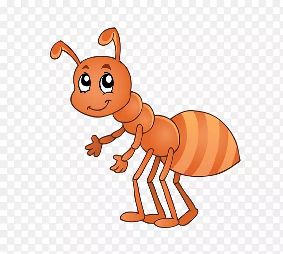 抬头看的蚂蚁